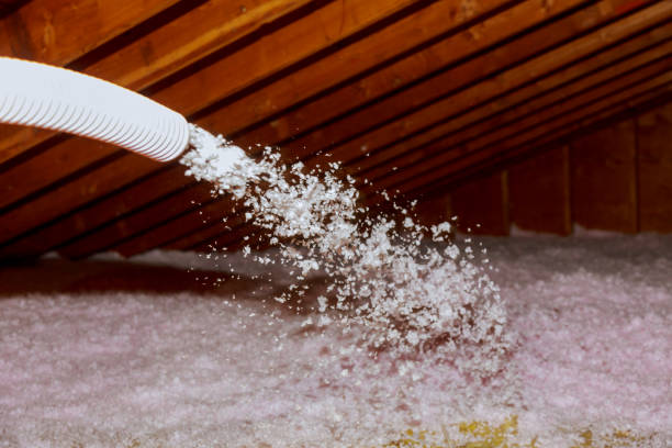 Best Attic Insulation Installation  in Kaukauna, WI