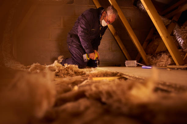 Best Insulation Air Sealing  in Kaukauna, WI